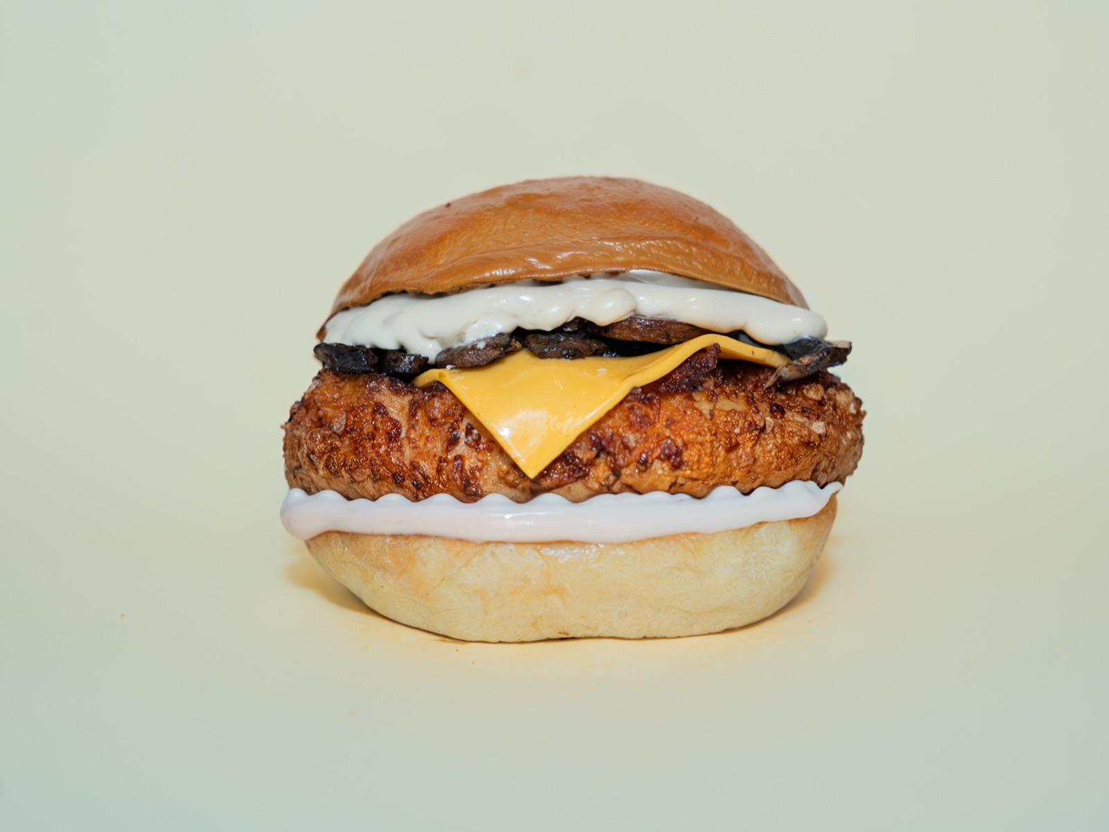 Mushroom Chicken